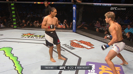 FragrantGoldenArcticduck