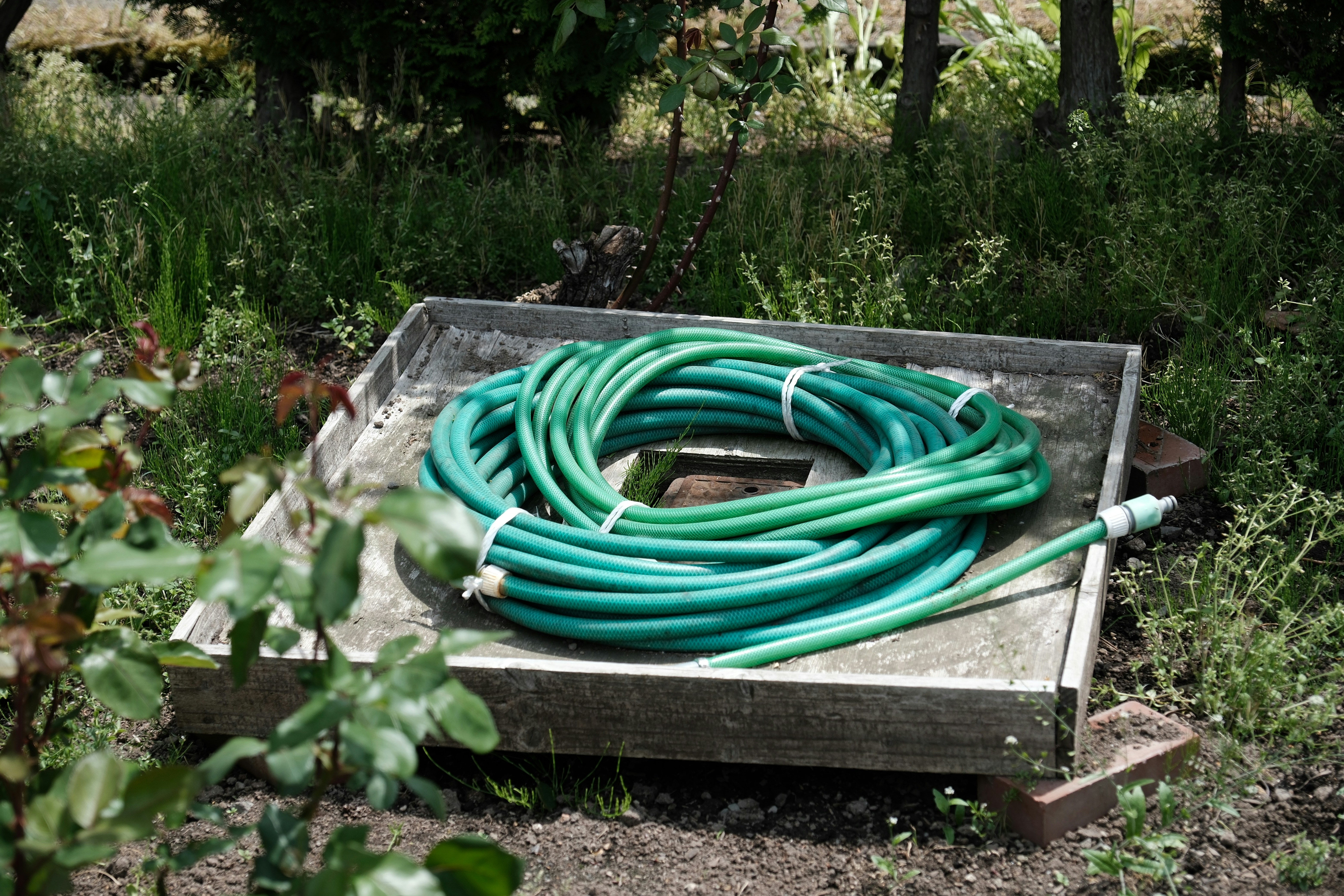 Stop Buying Cheap Hoses! The ONLY Garden Hose That Won’t Kink (2025 Review)